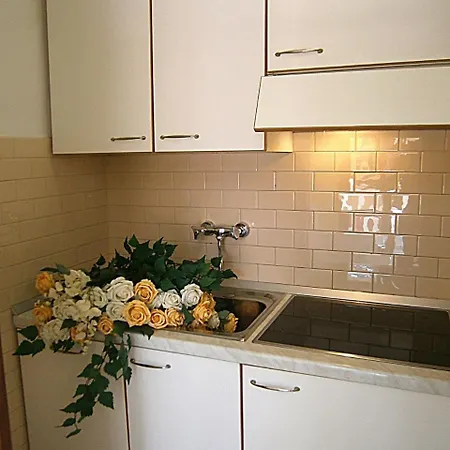 Castore * 비비오네